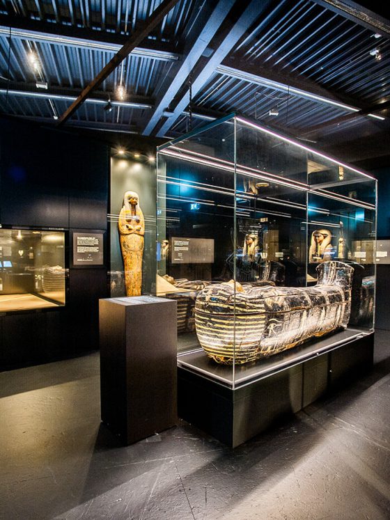 exhibition pharaoh coffin