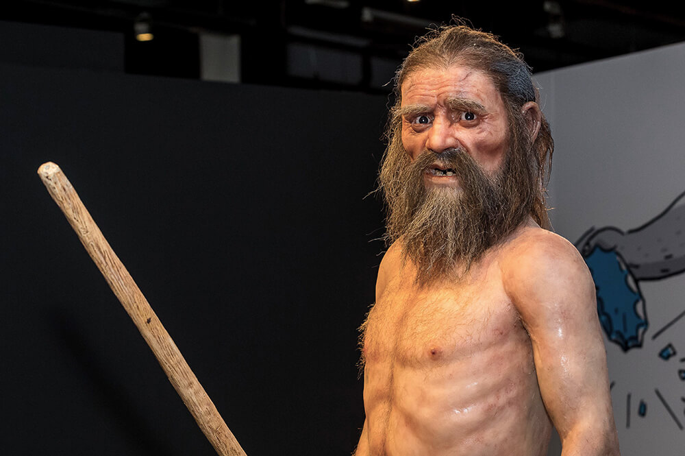 Otzi, Discovery & Facts