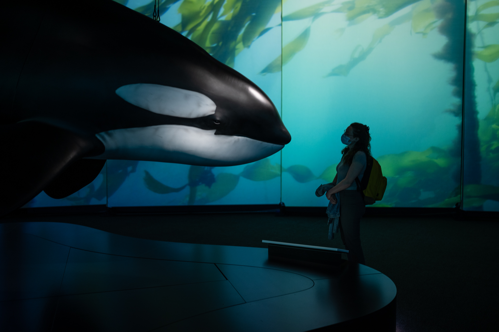 woman standin in front of Orca replica at the RBCM
