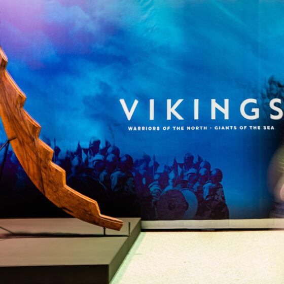 Vikings fore stem